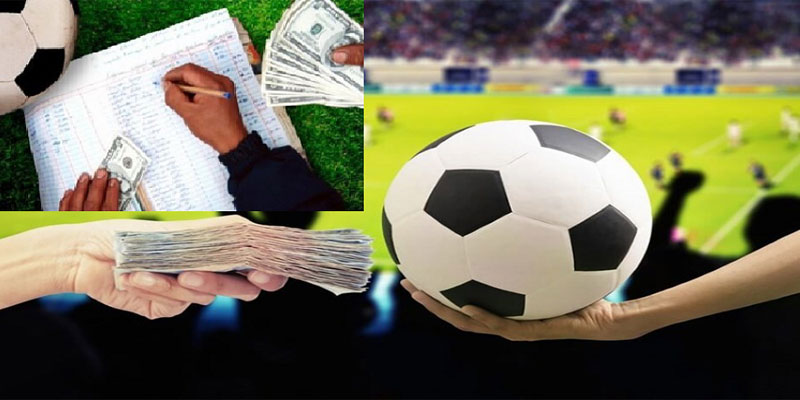 Cò bóng đá là gì? Những yếu tố cần có của một người cò bóng đá 3 Thế nào là cò bóng đá?