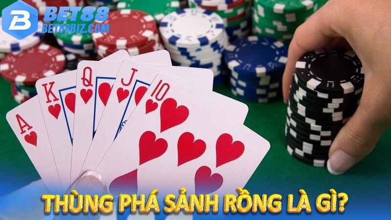 Sảnh rồng là gì? Kinh nghiệm để có được sảnh rồng khi chơi 7 Thùng phá sảnh rồng là gì?