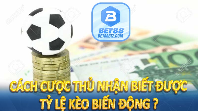 Tỷ Lệ Kèo Biến Động Là Gì? Giải Mã Bí Ẩn Của Nhà Cái 6 Cách cược thủ nhận biết được tỷ lệ kèo biến động ?