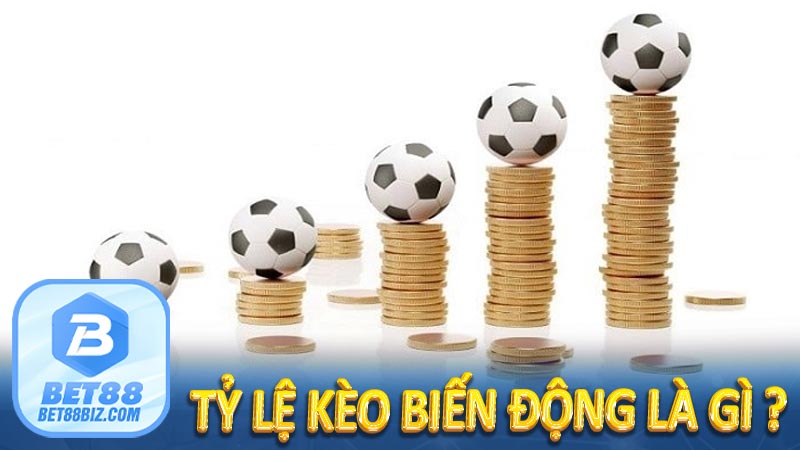 Tỷ Lệ Kèo Biến Động Là Gì? Giải Mã Bí Ẩn Của Nhà Cái 5 Tỷ lệ kèo biến động là gì ?