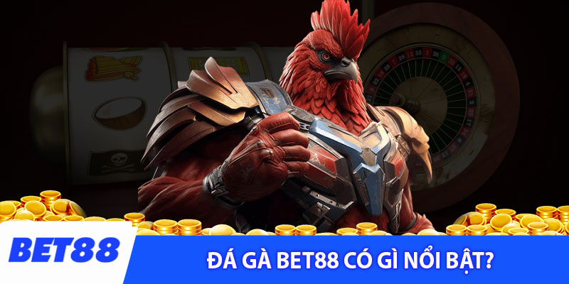 Đá gà Bet88 có gì nổi bật?