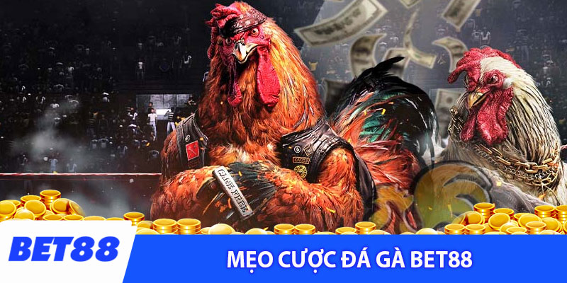 Mẹo cược trăm trận trăm thắng - Đá gà Bet88