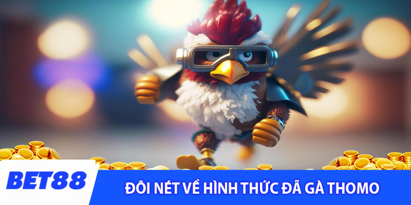 Đôi nét về hình thức đã gà thomo