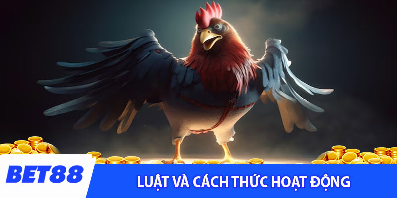 Luật và cách thức hoạt động của đá gà thomo