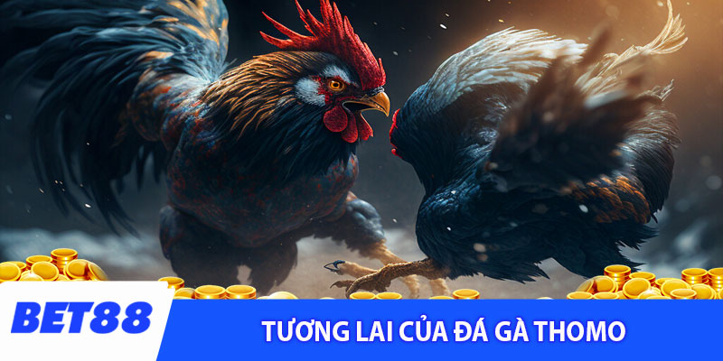 Tương lai của đá gà thomo trong nền kinh tế số