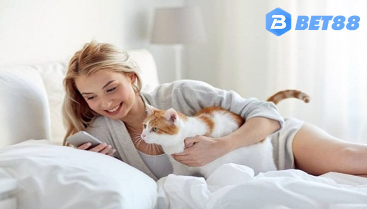 Giải Mã Chi Tiết Các Giấc Mơ Thấy Mèo