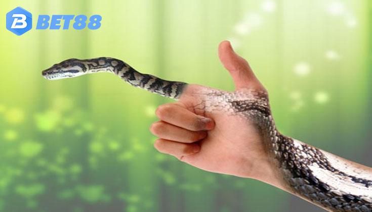 Mơ thấy rắn quấn quanh người