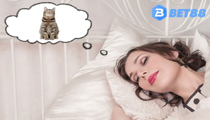 Nằm mơ thấy mèo - Tín Hiệu Từ Tiềm Thức