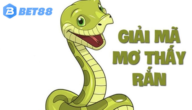 Ý Nghĩa Chung Khi Nằm Mơ Thấy Rắn